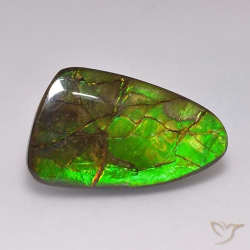 19.72ct طبيعي متعدد الألوان أموليت, فانسى, غير شفاف