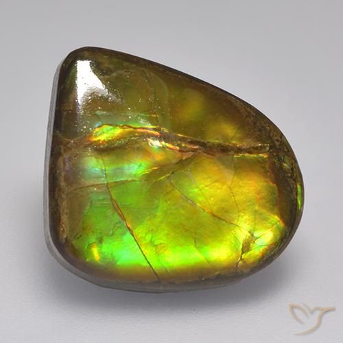 10.46ct طبيعي متعدد الألوان أموليت, فانسى, غير شفاف