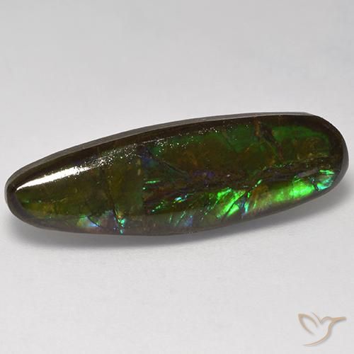 10.95ct طبيعي متعدد الألوان أموليت, فانسى, غير شفاف