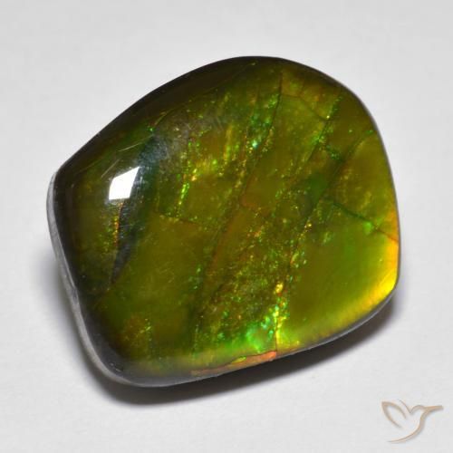 13.07ct طبيعي متعدد الألوان أموليت, فانسى, غير شفاف