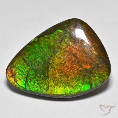 16.66ct طبيعي متعدد الألوان أموليت, فانسى, غير شفاف