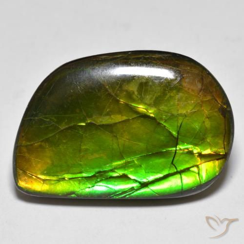 16.89ct طبيعي متعدد الألوان أموليت, فانسى, غير شفاف