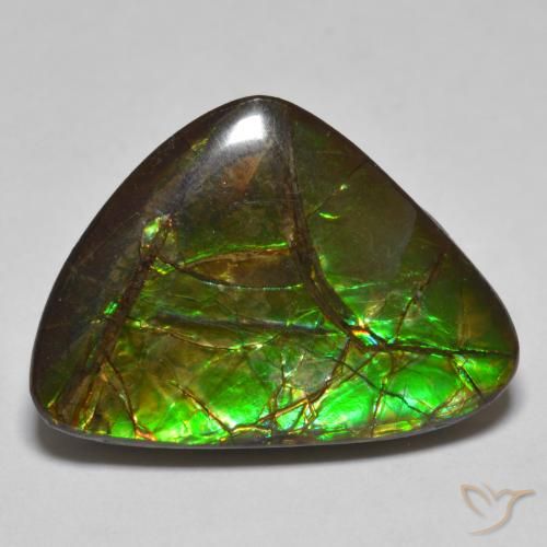 10.78ct طبيعي متعدد الألوان أموليت, فانسى, غير شفاف