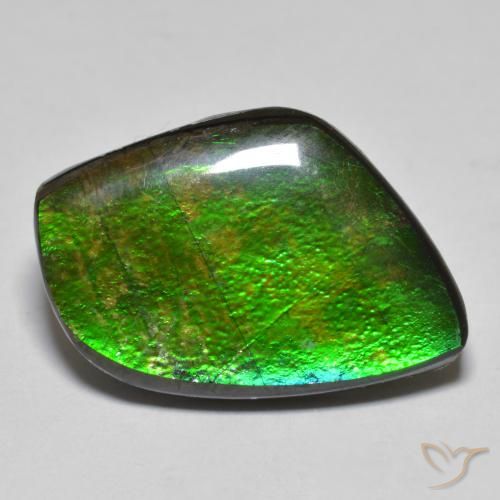 11.78ct طبيعي متعدد الألوان أموليت, فانسى, غير شفاف