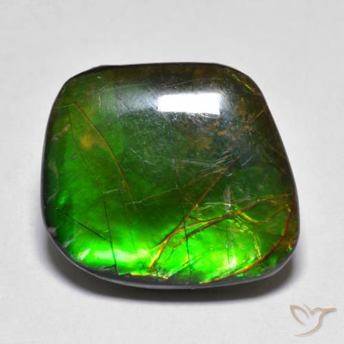 11.10ct طبيعي متعدد الألوان أموليت, فانسى, غير شفاف