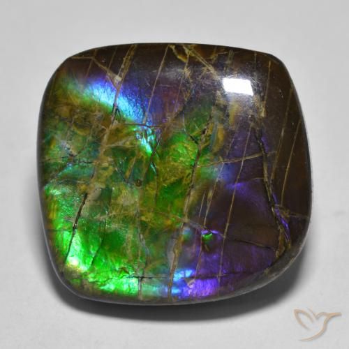 19.25ct طبيعي متعدد الألوان أموليت, فانسى, غير شفاف