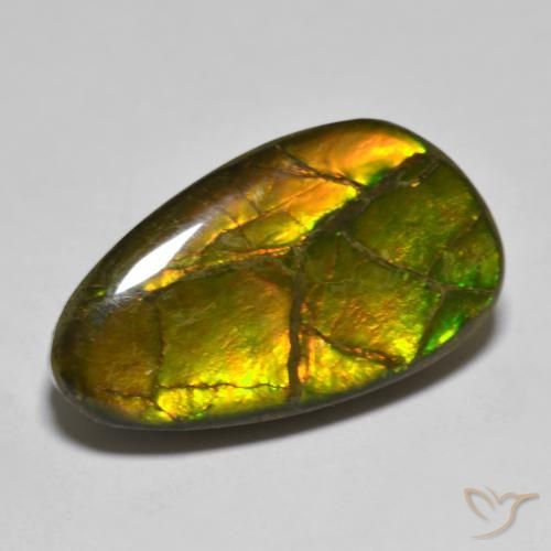 12.63ct طبيعي متعدد الألوان أموليت, فانسى, غير شفاف