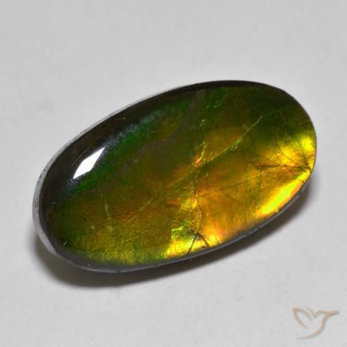 10.40ct طبيعي متعدد الألوان أموليت, بيضوي, غير شفاف