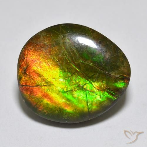 13.34ct طبيعي متعدد الألوان أموليت, فانسى, غير شفاف