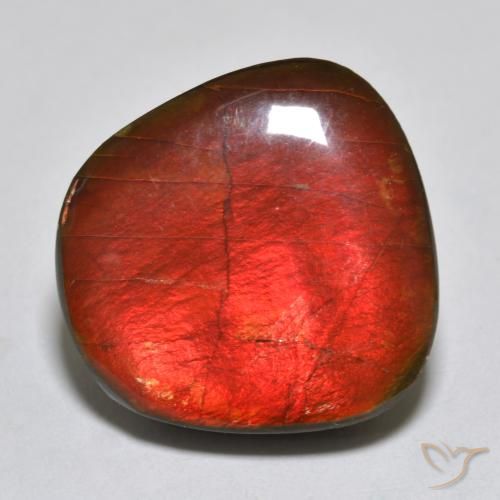 15.39ct طبيعي متعدد الألوان أموليت, فانسى, غير شفاف