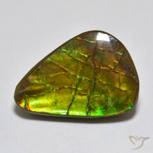 11.13ct طبيعي متعدد الألوان أموليت, فانسى, غير شفاف