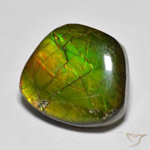 11.20ct طبيعي متعدد الألوان أموليت, فانسى, غير شفاف