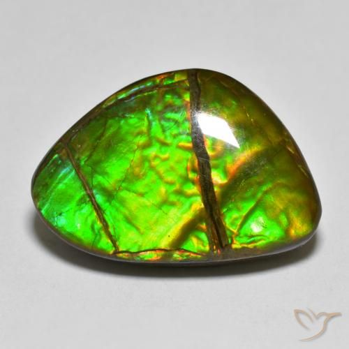 12.75ct طبيعي متعدد الألوان أموليت, فانسى, غير شفاف