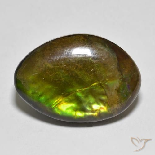 11.56ct طبيعي متعدد الألوان أموليت, فانسى, غير شفاف