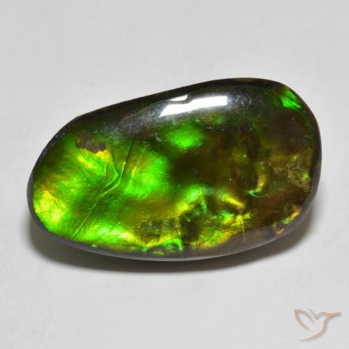13.25ct طبيعي متعدد الألوان أموليت, فانسى, غير شفاف