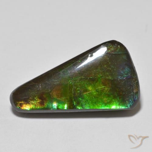 13.74ct طبيعي متعدد الألوان أموليت, فانسى, غير شفاف