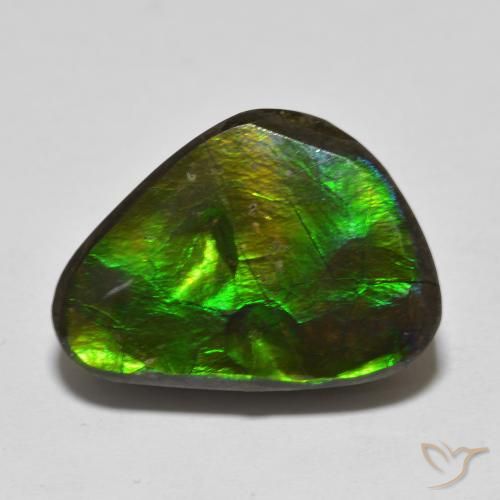 13.90ct طبيعي متعدد الألوان أموليت, فانسى, غير شفاف