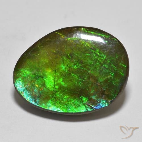 16.14ct طبيعي متعدد الألوان أموليت, فانسى, غير شفاف