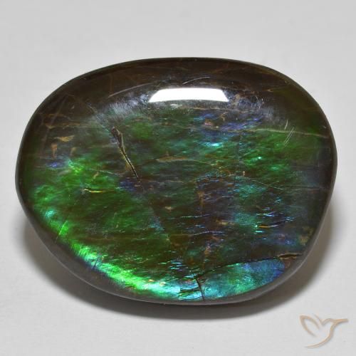 19.98ct طبيعي متعدد الألوان أموليت, فانسى, غير شفاف