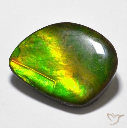 11.97ct طبيعي متعدد الألوان أموليت, فانسى, غير شفاف