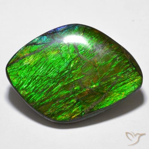 14.32ct طبيعي متعدد الألوان أموليت, فانسى, غير شفاف