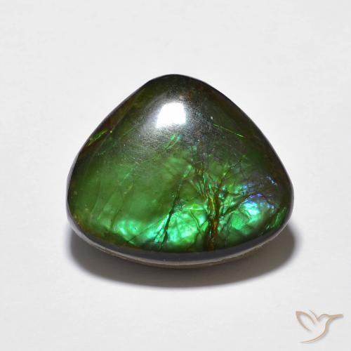 10.69ct طبيعي متعدد الألوان أموليت, فانسى, غير شفاف