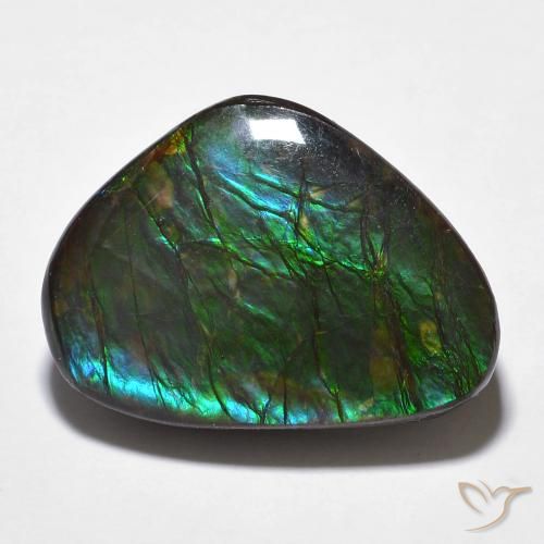 14.68ct طبيعي متعدد الألوان أموليت, فانسى, غير شفاف