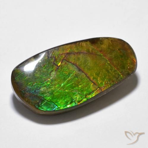 14.29ct طبيعي متعدد الألوان أموليت, فانسى, غير شفاف