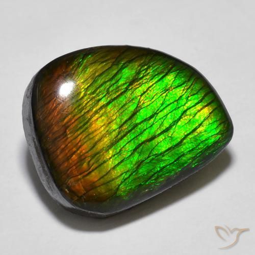 12.97ct طبيعي متعدد الألوان أموليت, فانسى, غير شفاف