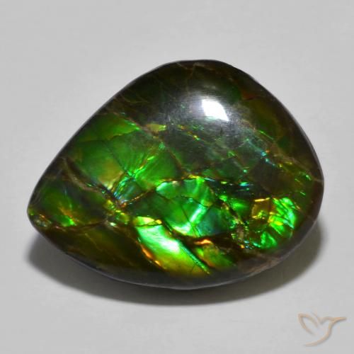 12.91ct طبيعي متعدد الألوان أموليت, فانسى, غير شفاف