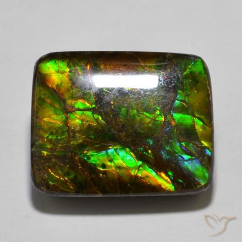 16.01ct طبيعي متعدد الألوان أموليت, وسادة, غير شفاف