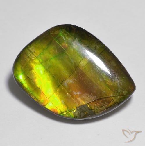 15.05ct طبيعي متعدد الألوان أموليت, فانسى, غير شفاف