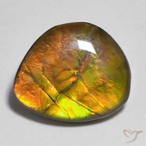 10.33ct طبيعي متعدد الألوان أموليت, فانسى, غير شفاف