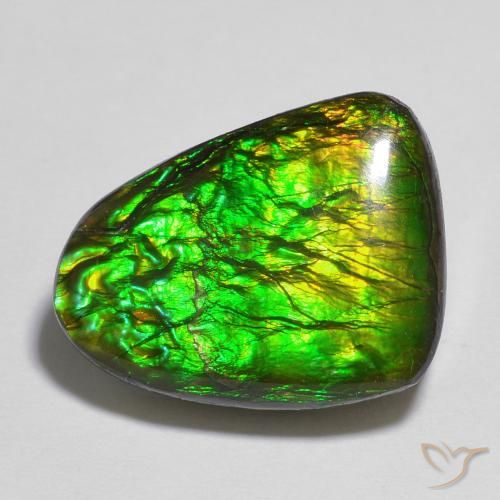 12.13ct طبيعي متعدد الألوان أموليت, فانسى, غير شفاف