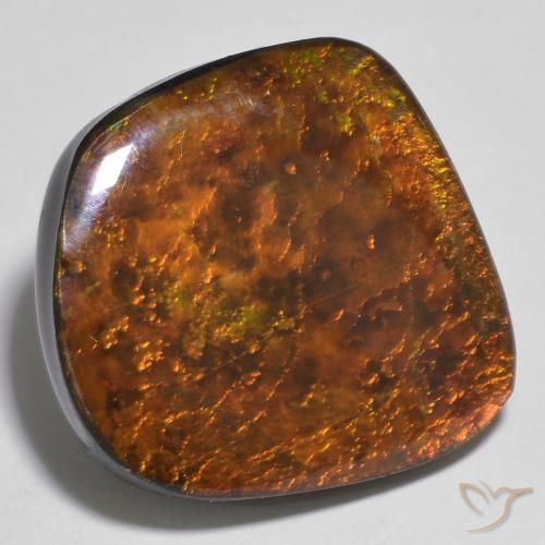 16.86ct طبيعي متعدد الألوان أموليت, فانسى, غير شفاف