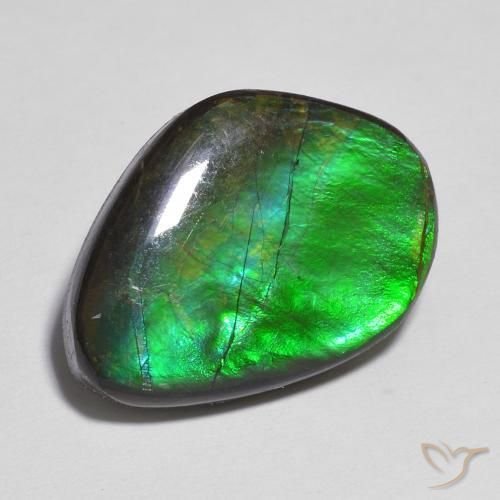 11.06ct طبيعي متعدد الألوان أموليت, فانسى, غير شفاف