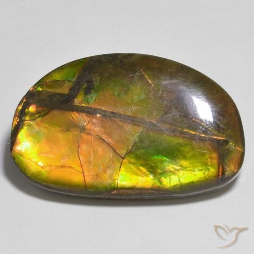 17.79ct طبيعي متعدد الألوان أموليت, فانسى, غير شفاف