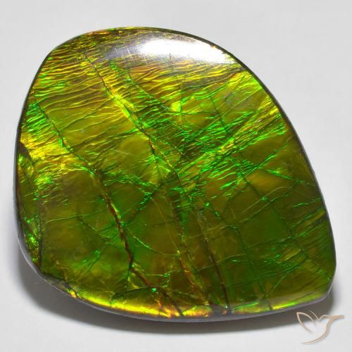 24.62ct طبيعي متعدد الألوان أموليت, فانسى, غير شفاف