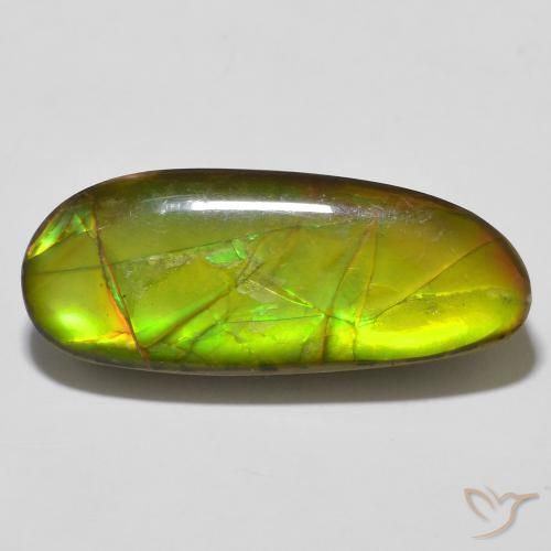 14.67ct طبيعي متعدد الألوان أموليت, فانسى, غير شفاف