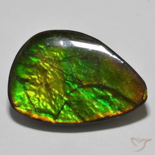 24.89ct طبيعي متعدد الألوان أموليت, فانسى, غير شفاف