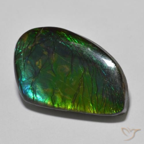 21.44ct طبيعي متعدد الألوان أموليت, فانسى, غير شفاف