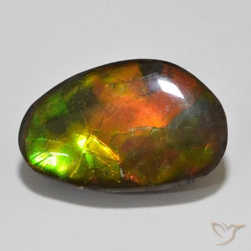 13.56ct طبيعي متعدد الألوان أموليت, فانسى, غير شفاف