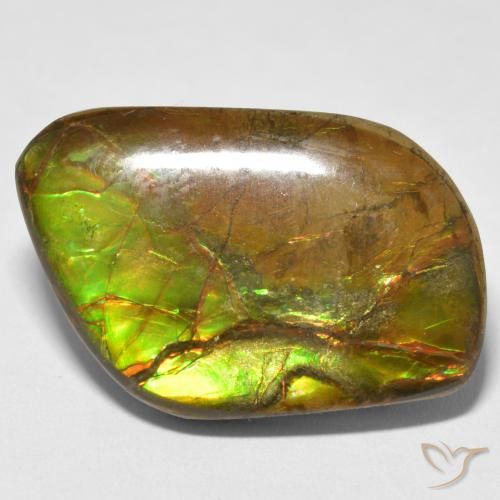 16.70ct طبيعي متعدد الألوان أموليت, فانسى, غير شفاف
