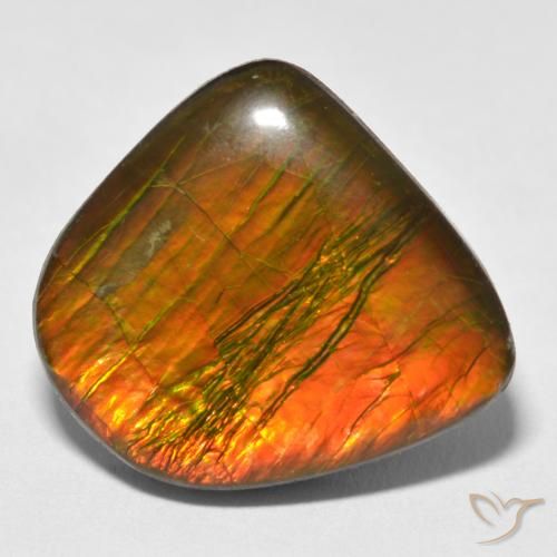 17.88ct طبيعي متعدد الألوان أموليت, فانسى, غير شفاف