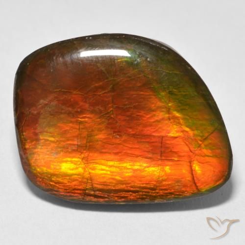 15.38ct طبيعي متعدد الألوان أموليت, فانسى, غير شفاف