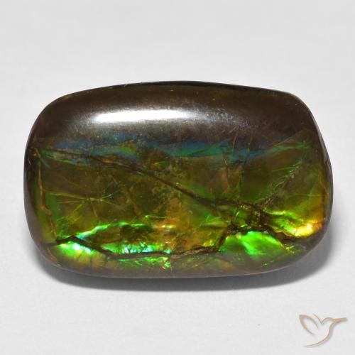 16.16ct طبيعي متعدد الألوان أموليت, فانسى, غير شفاف