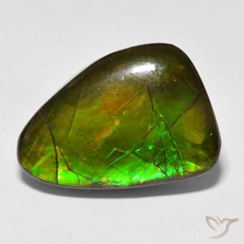 13.40ct طبيعي متعدد الألوان أموليت, فانسى, غير شفاف