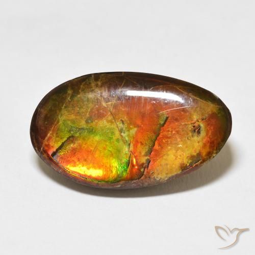 15.62ct طبيعي متعدد الألوان أموليت, فانسى, غير شفاف