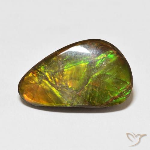 14.61ct طبيعي متعدد الألوان أموليت, فانسى, غير شفاف