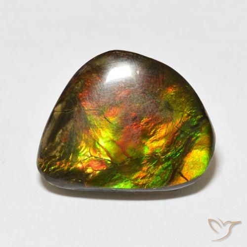 11.60ct طبيعي متعدد الألوان أموليت, فانسى, غير شفاف